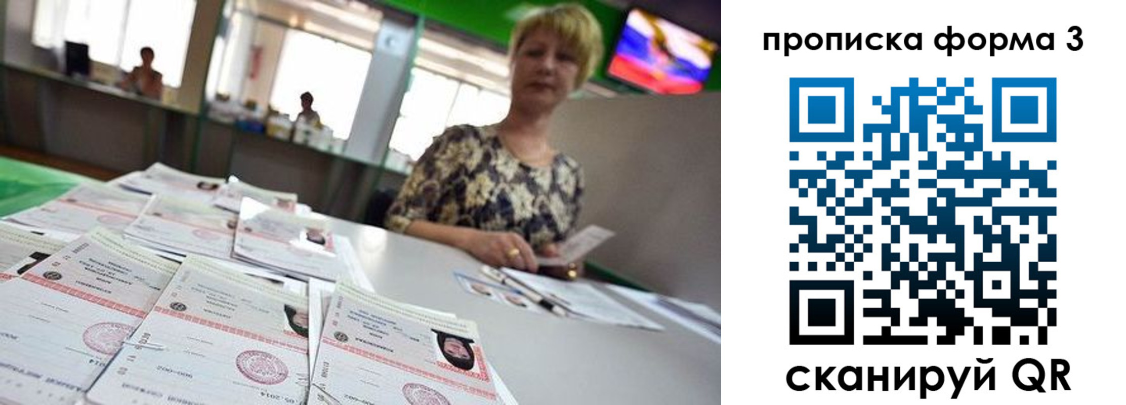 прописка 2025 в Оленегорске
